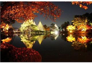 ���Z���̉摜